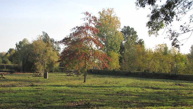 Rochefort sur loire (93)